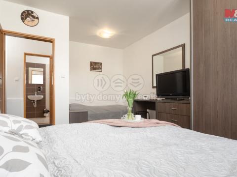 Prodej ubytování, Velké Heraltice, Opavská, 900 m2