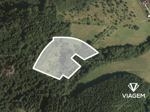 Prodej lesa, Vsetín, Rokytnice, 10655 m2