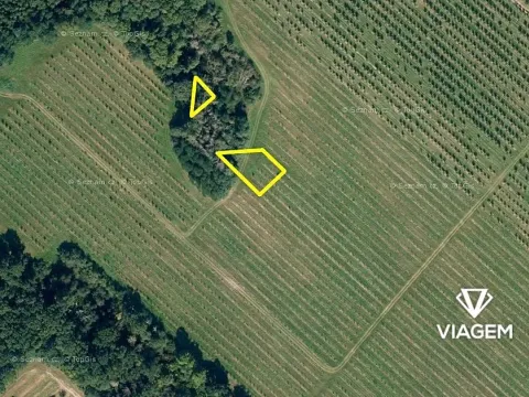 Prodej podílu zahrady, Semtěš, 159 m2