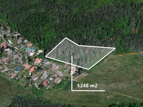Prodej podílu lesa, Stříbrná Skalice, 2040 m2