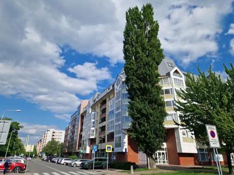 Pronájem ostatní, Ostrava - Moravská Ostrava, 30. dubna