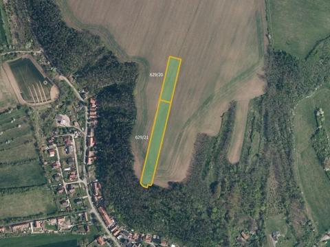 Prodej pole, Sazená, 10303 m2