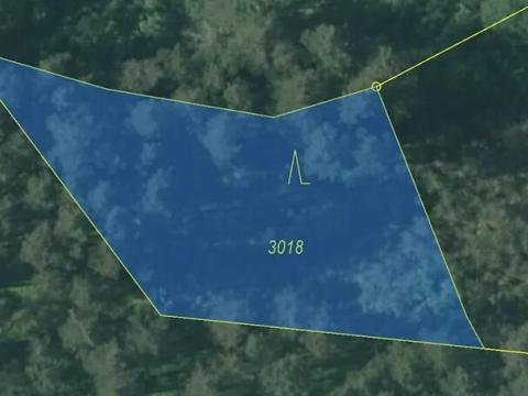 Prodej lesa, Nová Bystřice, 1141 m2