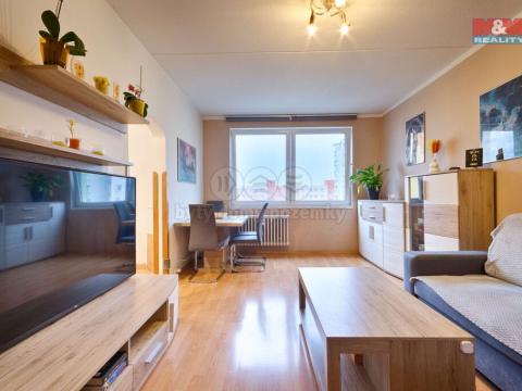 Prodej bytu 3+1, České Budějovice - České Budějovice 2, M. Chlajna, 67 m2