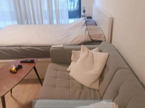 Pronájem bytu 1+kk, Praha - Žižkov, Tetauerova, 32 m2