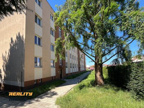 Pronájem bytu 2+1, Hořice, Riegrova, 55 m2