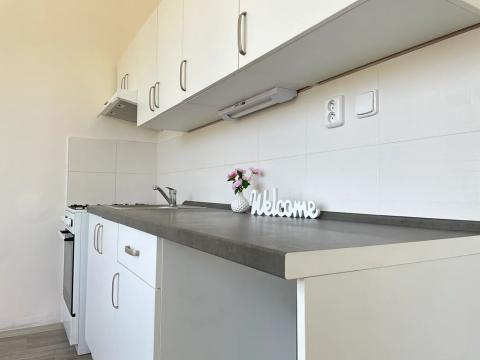 Pronájem bytu 2+1, Litvínov, Alešova, 51 m2