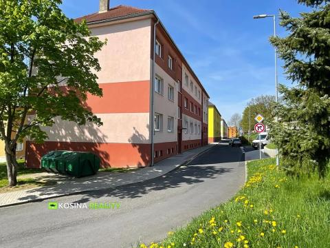 Pronájem bytu 2+1, Habartov, Raisova, 58 m2