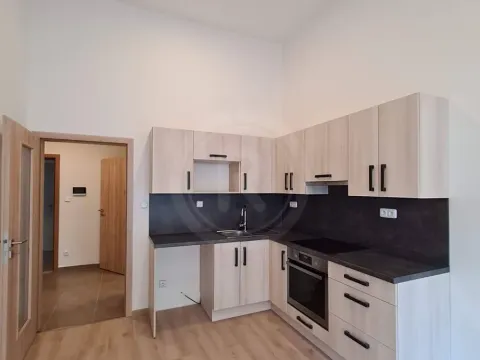 Pronájem bytu 2+kk, České Budějovice, Riegrova, 65 m2