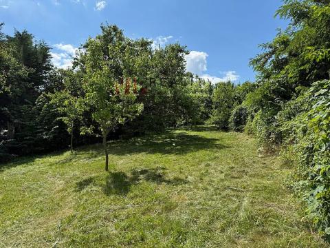 Prodej zahrady, Modřice, 1129 m2