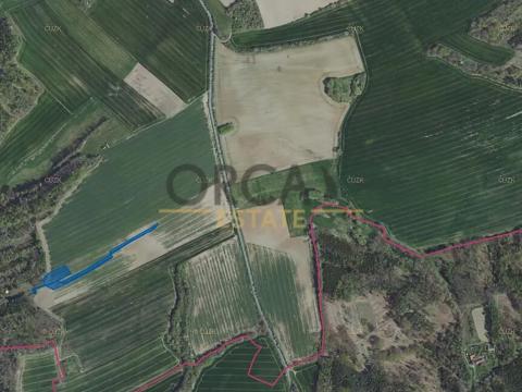 Prodej pole, Ondřejov, 7186 m2