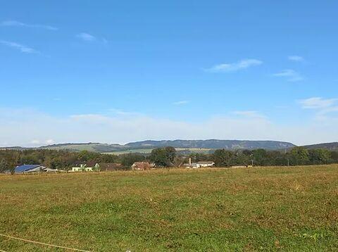 Prodej louky, Police nad Metují, 8002 m2