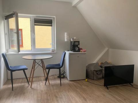 Pronájem bytu 1+kk, Luhačovice, 18 m2