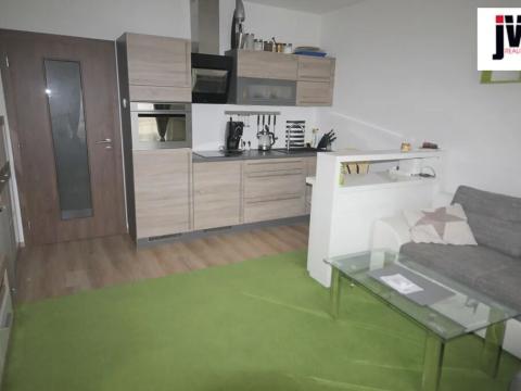 Pronájem bytu 1+kk, Plzeň, U Borských kasáren, 42 m2