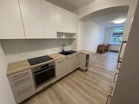 Pronájem bytu 1+kk, Brno, Palackého třída, 27 m2