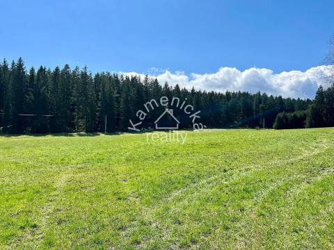 Prodej pozemku pro bydlení, Černá v Pošumaví, 25271 m2
