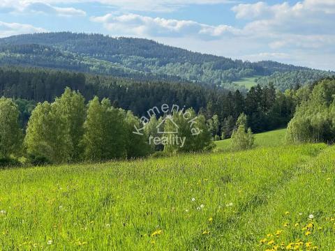 Prodej pozemku pro bydlení, Malšín, 113244 m2
