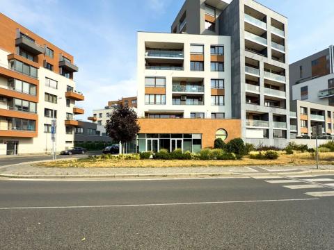 Prodej restaurace, Praha - Holešovice, V háji, 217 m2