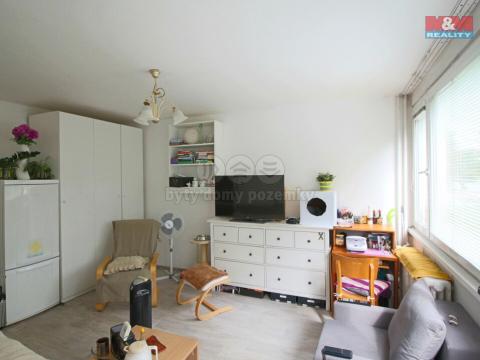 Prodej bytu 1+1, Hradec Králové - Slezské Předměstí, Polní, 26 m2