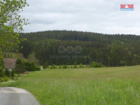 Prodej lesa, Vysoká Srbská, 26095 m2
