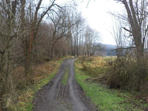 Prodej pozemku, Nové Hrady - Vyšné, 4213 m2