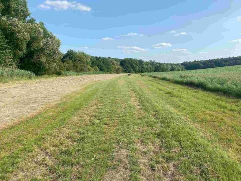 Prodej pole, Oldřichovice, 250 m2