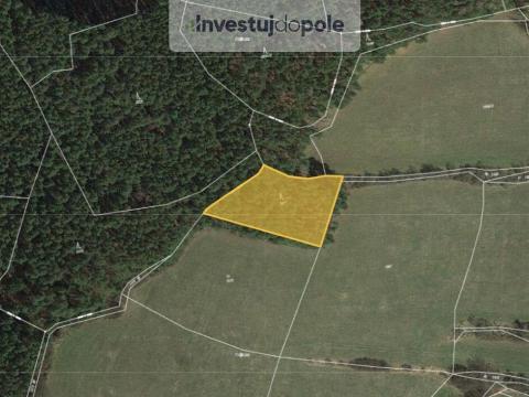 Prodej lesa, Zálezly, 2526 m2