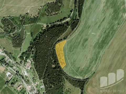 Prodej louky, Bělá nad Svitavou, 5828 m2