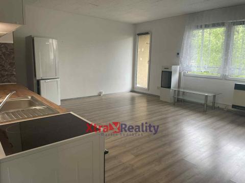 Pronájem bytu 1+kk, Teplice, Bílinská, 44 m2