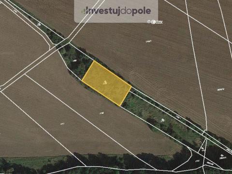 Prodej pozemku, Přeštice, 1558 m2