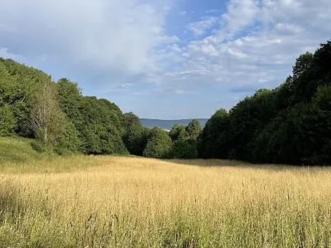 Prodej pozemku, Útěchov, 50152 m2