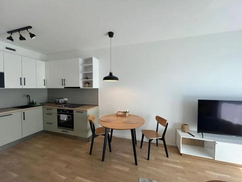 Pronájem bytu 2+kk, Praha, Perucká, 46 m2