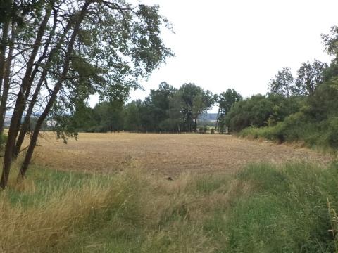 Dražba zahrady, Heřmanova Huť, 1100 m2