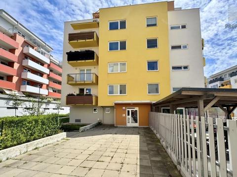 Pronájem bytu 1+kk, Brno, Žabí, 27 m2
