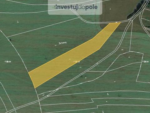 Prodej pole, Pavlíkov - Ryšín, 5405 m2