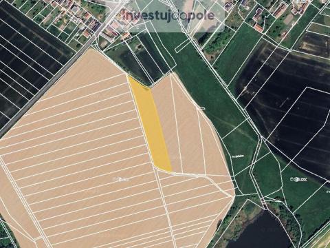 Prodej pole, Babice, 1682 m2