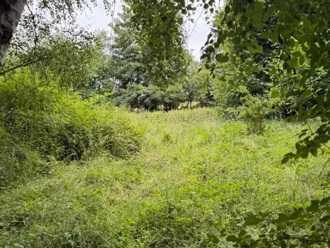 Prodej pozemku, Nezdřev, 8407 m2