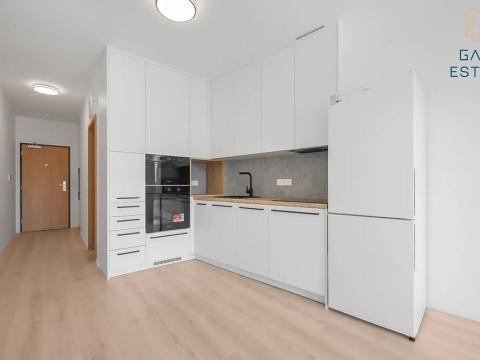 Pronájem bytu 1+kk, Brno, Dornych, 31 m2
