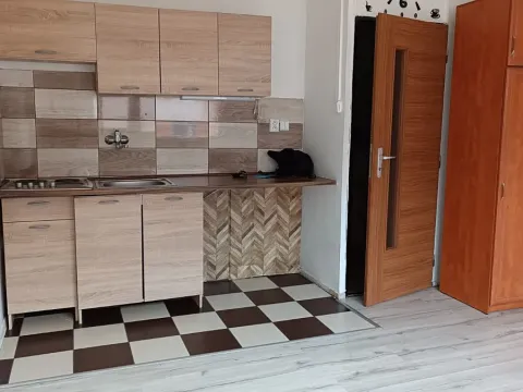 Pronájem bytu 1+kk, Teplice, U Vlastního krbu, 21 m2