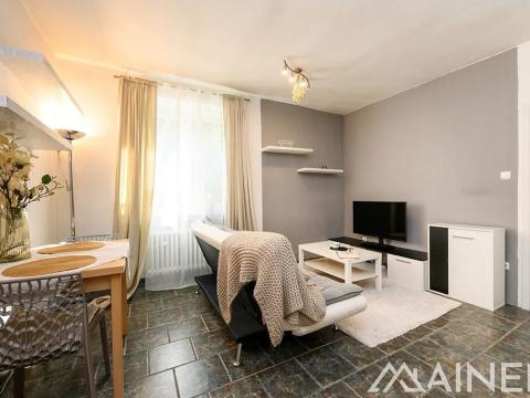 Prodej bytu 2+kk, Plzeň, Francouzská třída, 39 m2
