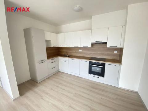 Pronájem bytu 3+kk, Plzeň, U Borských kasáren, 90 m2
