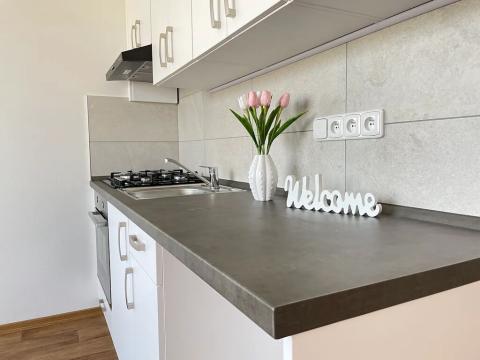 Pronájem bytu 1+1, Litvínov, Rooseveltova, 37 m2