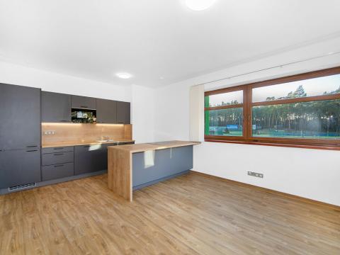 Pronájem bytu 3+kk, Plzeň - Severní Předměstí, Bolevecká, 58 m2