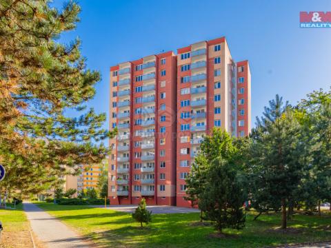 Prodej bytu 3+1, České Budějovice - České Budějovice 2, Netolická, 72 m2