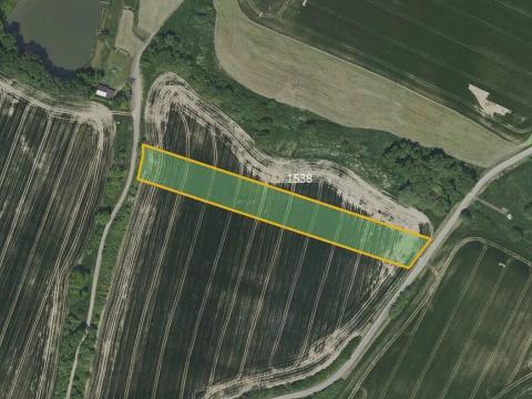 Prodej pole, Chotýšany, 2635 m2