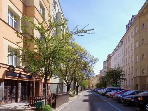 Pronájem bytu 2+kk, Brno, Gorkého, 45 m2