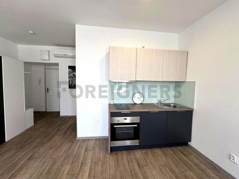 Pronájem bytu 1+kk, Brno, Bašty, 36 m2