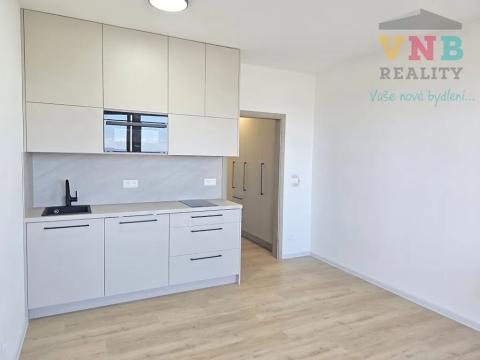 Pronájem bytu 1+kk, Olomouc, Aloise Rašína, 25 m2