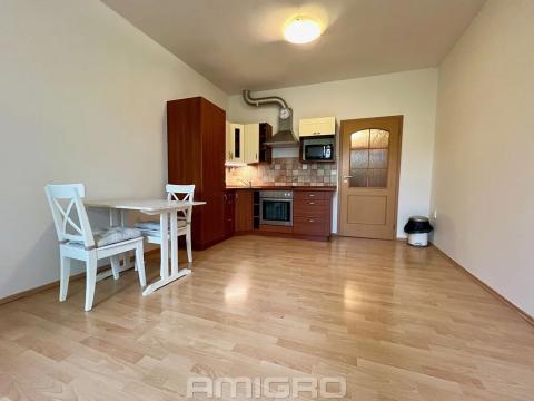 Pronájem bytu 1+kk, Brno, Božetěchova, 32 m2