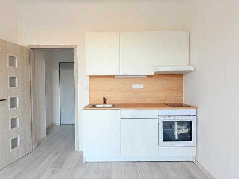 Pronájem bytu 1+kk, Milovice, Slepá, 23 m2